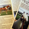 Flyer AHZ 2009